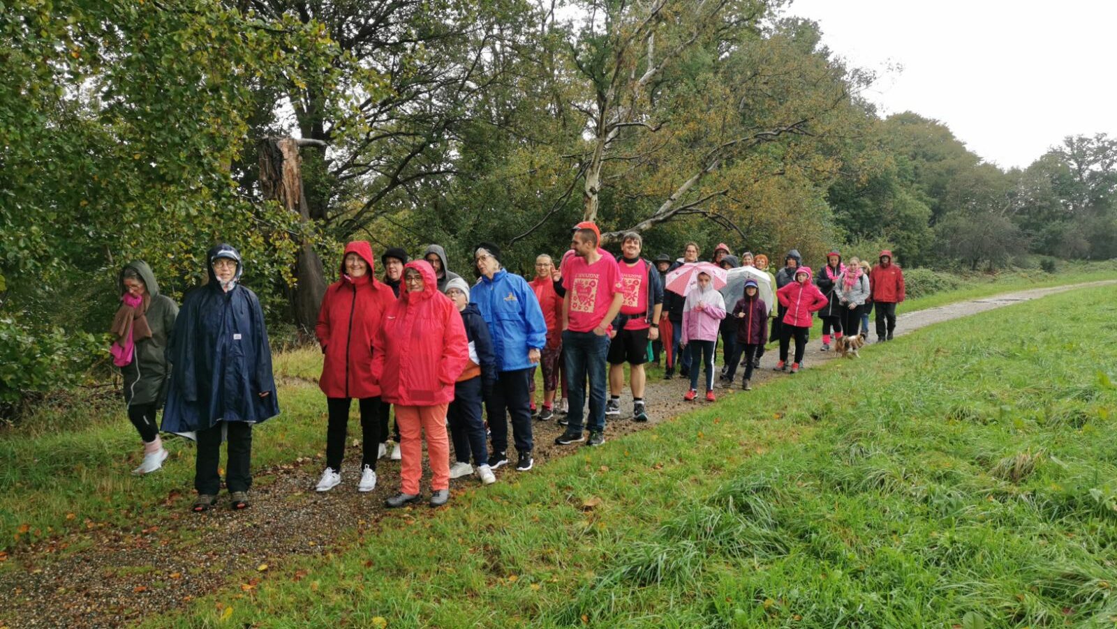 Des Marches Roses solidaires