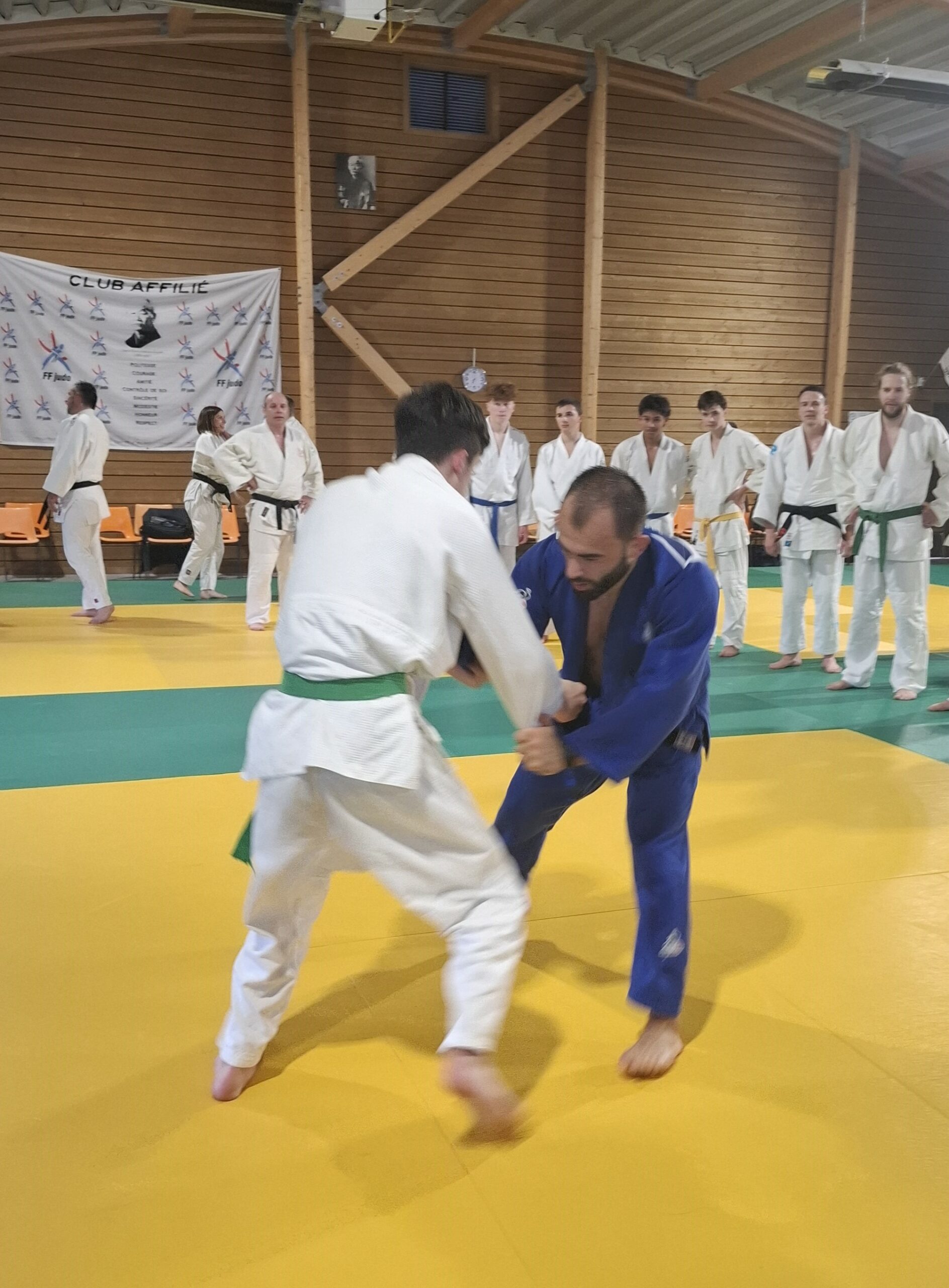 Les actus du Judo